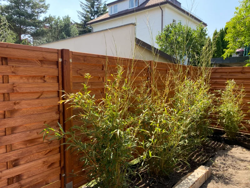 Zdjęcie - ogrodzenie drewniane z roślinami